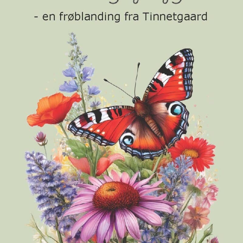 Sommerfugle guf frø
